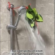 Danhquandui
